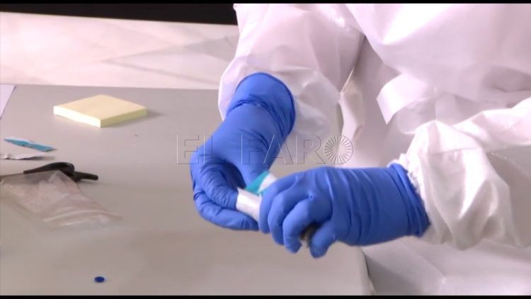 test-rapidos-ayuntamiento-8