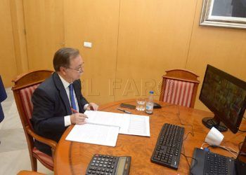 vivas-videoconferencia-310520