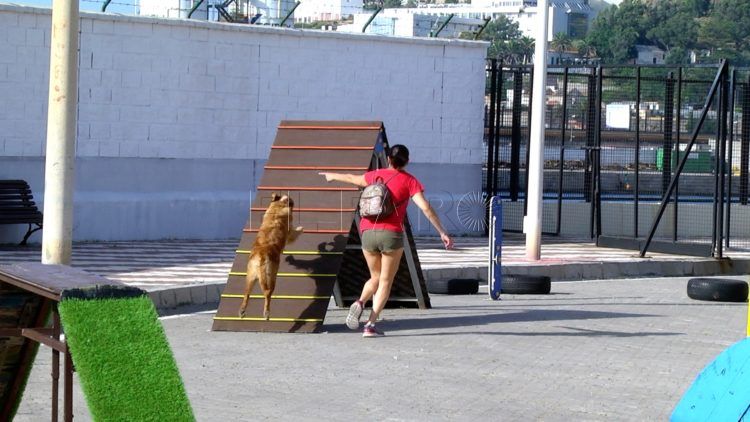 Parque_de_perros_03