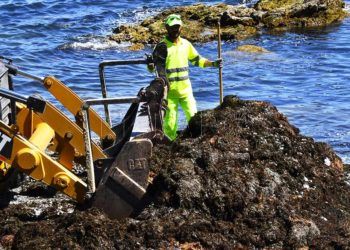 algas-playas-050620-3