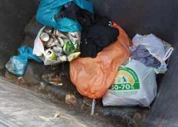 basura-contenedor