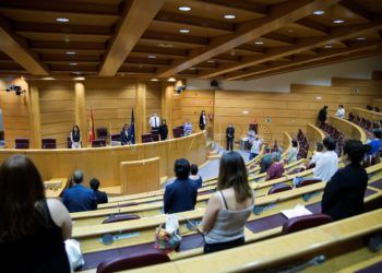 comision-senado-violencia-genero