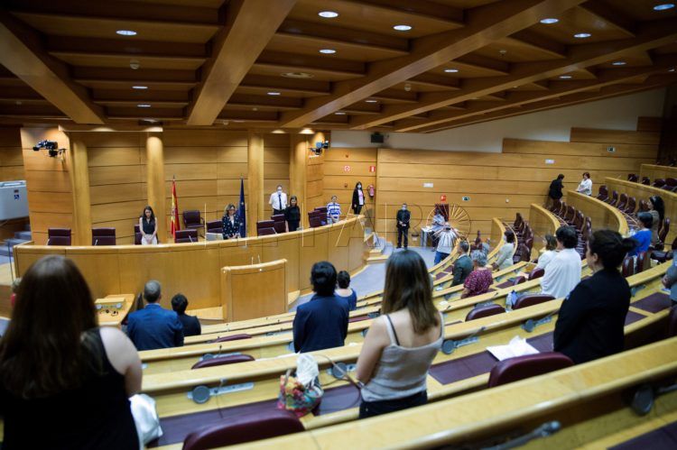 comision-senado-violencia-genero