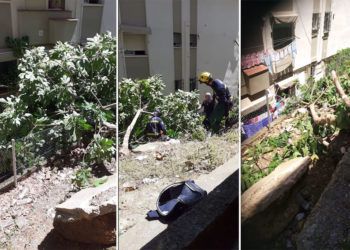 higuera-cae-viviendas