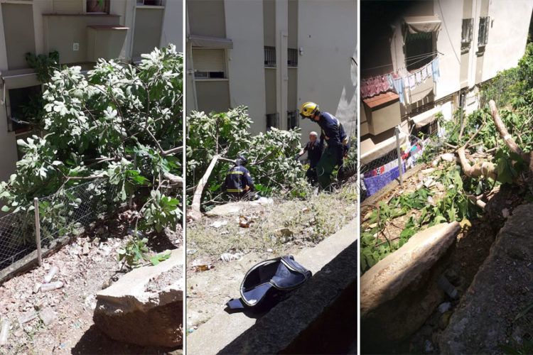 higuera-cae-viviendas