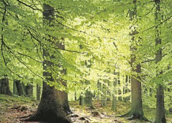 hora-actuar-naturaleza