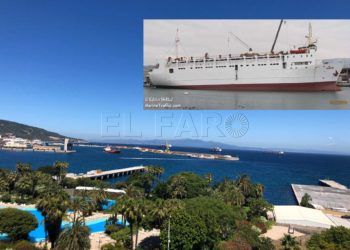 norland-buque-ganado