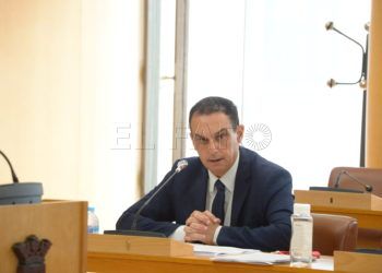 pleno-hernandez-psoe-3