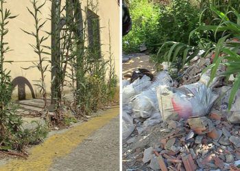 real-90-vegetacion-basura