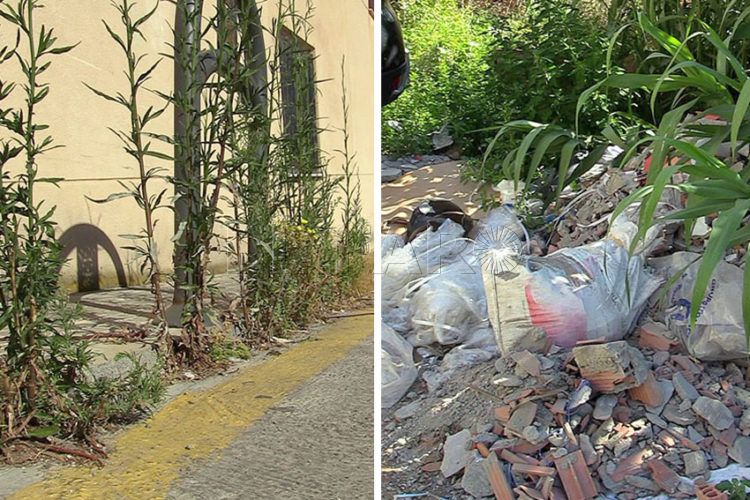 real-90-vegetacion-basura