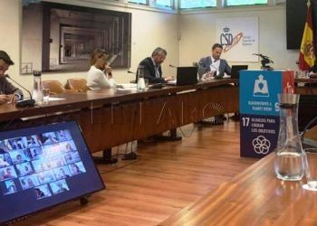 reunion-telematica-csd-autonomias-1