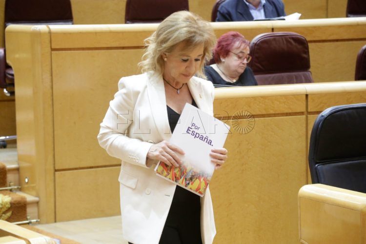 senadora-yolanda-merelo-vox-senado-2