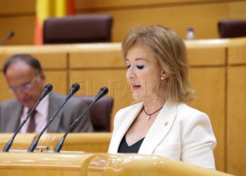 senadora-yolanda-merelo-vox-senado-3