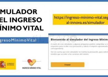 simulador-ingreso-minimo-vital