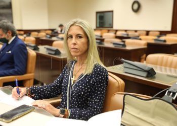 teresa-lopez-comision-infancia-congreso