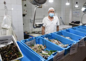 abselam-pescaderia-real-90-mercado