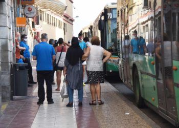 autobuses-constitución