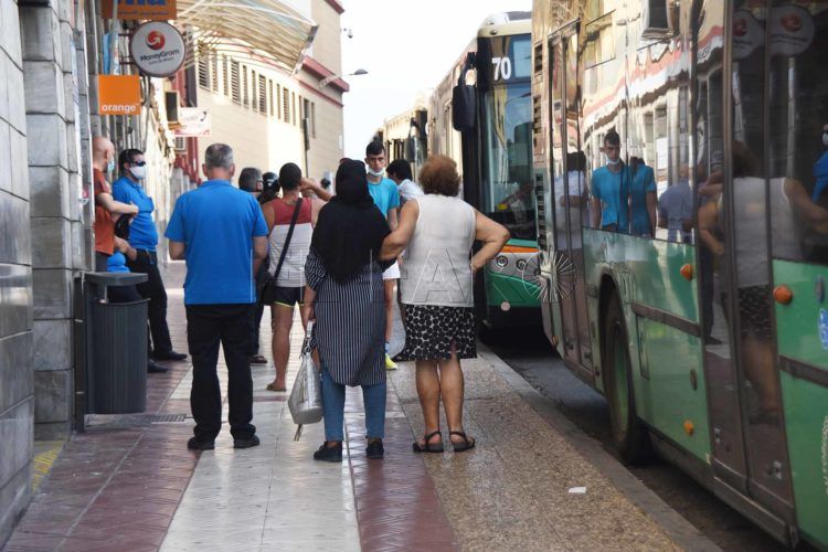 autobuses-constitución