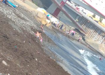 niños-juegan-algas-playa