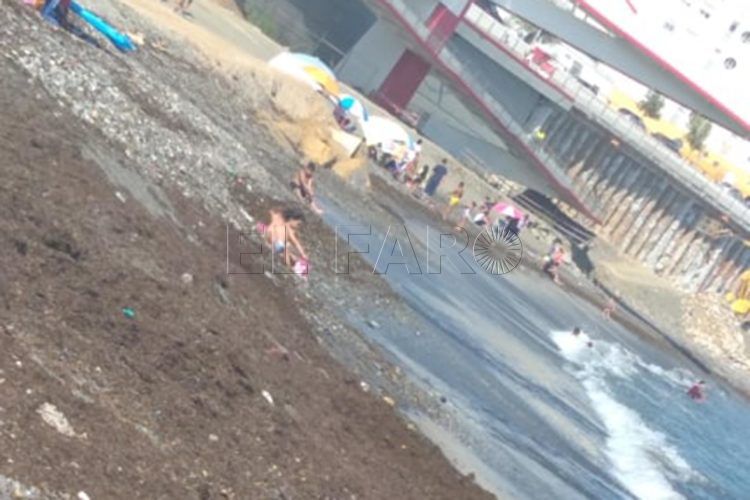 niños-juegan-algas-playa