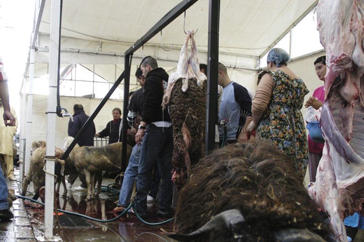 pascua-sacrificio-familias.