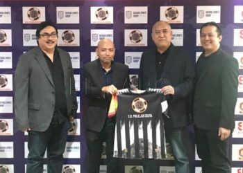 polillas-puente-indonesia