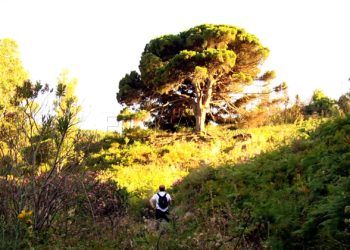 primer-aniversario-incendio-calamocarro-2