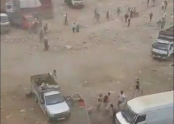 robo-borregos-detenidos-marruecos