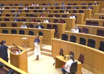 yolanda-merelo-senado