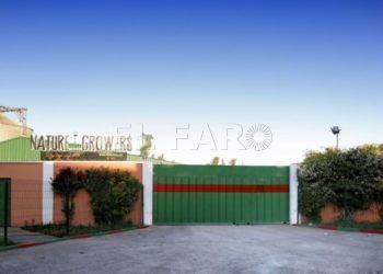 Nature-Growers-coronavirus-marruecos