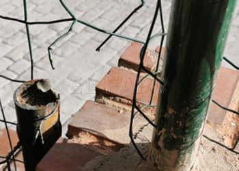 colonia-gatos-destrozo-vallado-1