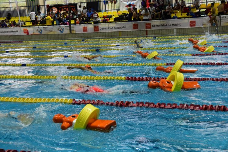 federacion-salvamento-socorrismo-eventos-1