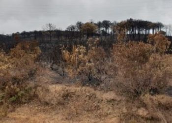 incendio-castillejos-controlado