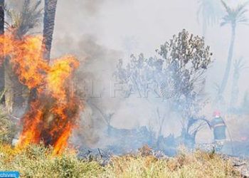 incendio-castillejos-fuego
