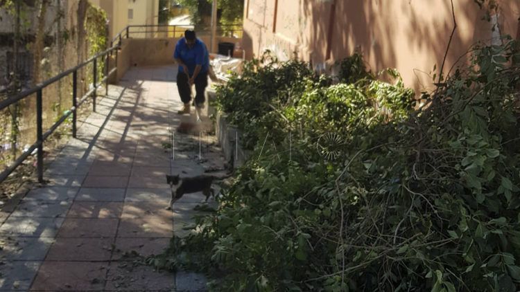 limpieza-poligono-virgen-africa-brigadas-verdes-13