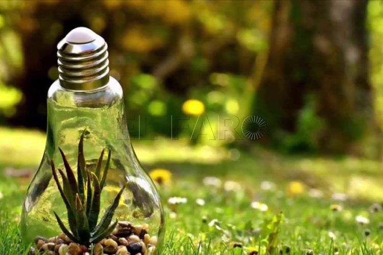 medio-ambiente