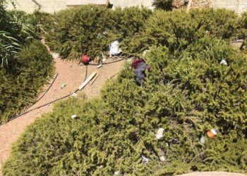 parque-huerta-tellez-suciedad-6