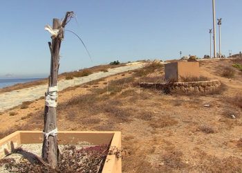 parque-urbano-santa-catalina-14