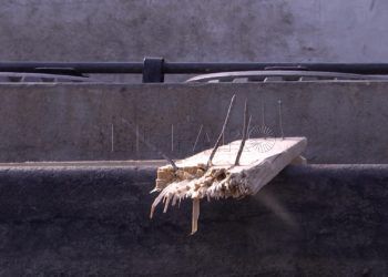 pelea-zona-portuaria-detenidos-guardia-civil-2