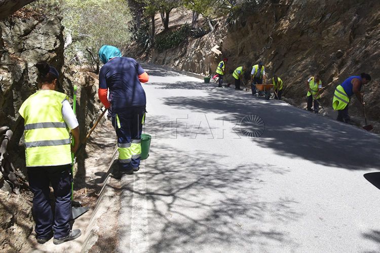 plan-empleo-trabajadoras