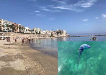 ribera-playa-carabela