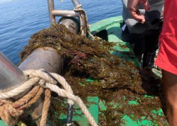 sacan-red-deriva-zona-benzu-1