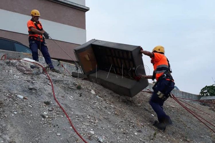 tragsa-limpieza-reina-3