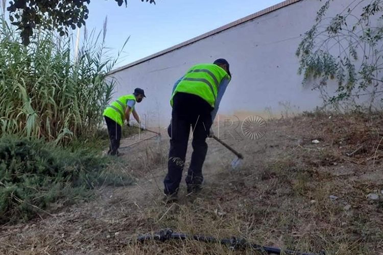 brigadas-verdes-desbroce-huerta-tellez-4