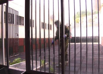 desinfeccion-colegios-militares