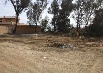 policia-local-obra-ilegal-terrenos-ciudad-principe-2