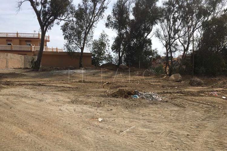 policia-local-obra-ilegal-terrenos-ciudad-principe-2