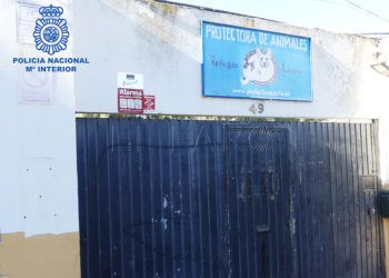 policia-robo-protectora