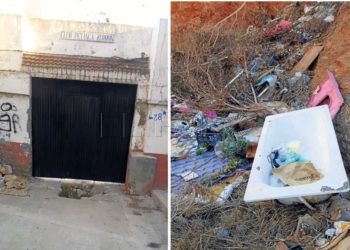 puerta-hadu-limpieza-huerta-tellez