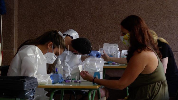 test-rápidos-profesores-8